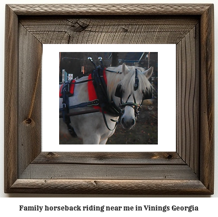 family horseback riding near me in Vinings, Georgia